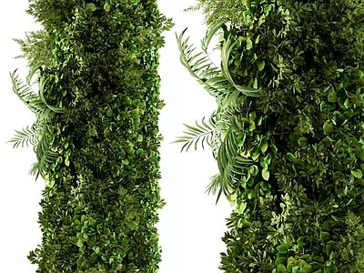 绿植墙