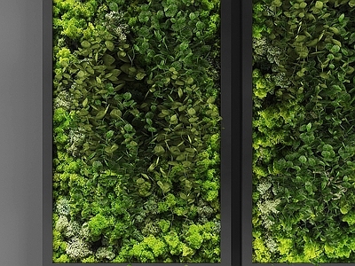绿植墙