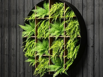绿植墙