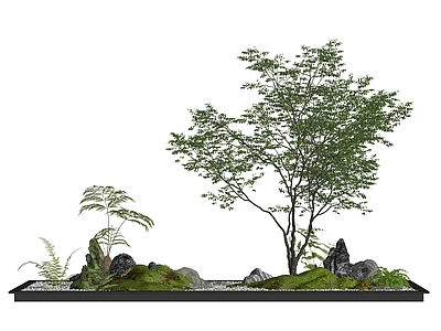 现代庭院小品 现代庭院小品 植物堆 景观树 蕨类植物