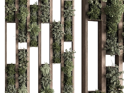 绿植墙