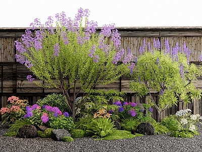 花草组合 花境 紫荆花 紫薇树 植物堆 植物造景