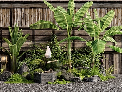 植物堆 日式庭院小品 景观石头 水钵水景 芭蕉树 植物造景