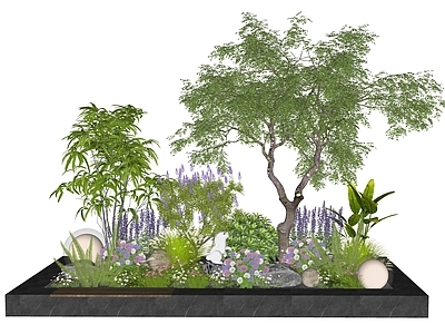 植物组合 花境 植物堆 花草 庭院小品 景观树