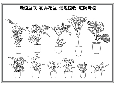 现代花 绿植盆栽 盆卉 植物景观 盆景植物 施工图