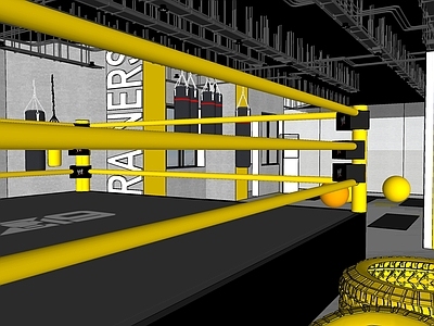 现代其他休闲娱乐空间 拳击