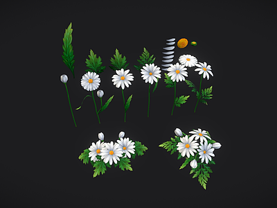 花 手绘风格雏菊 花朵植物 菊花 花卉 马兰头花