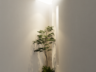 植物组合 现代造景 小品