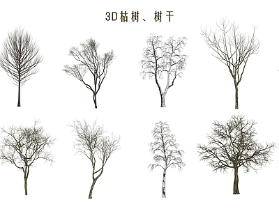 乔木 枯 腐木 枯树朽木 树干乔木 木材柴火