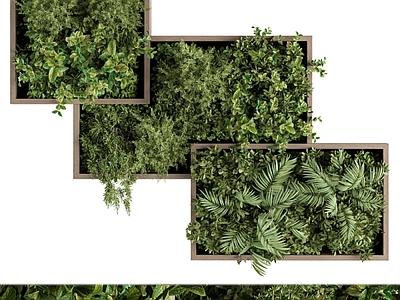 绿植墙