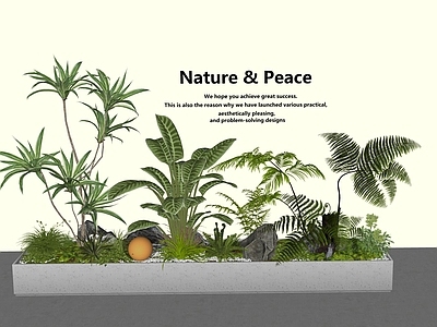 植物组合 堆 庭院 庭院小品 组合