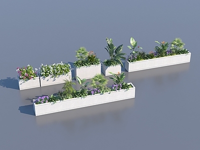 其他绿植 花池 花池组合