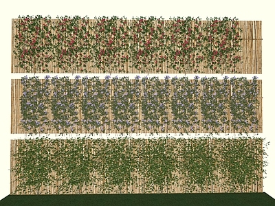 植物组合 藤蔓藤本植物 绿植墙 花草 花 卉爬山虎 爬墙虎