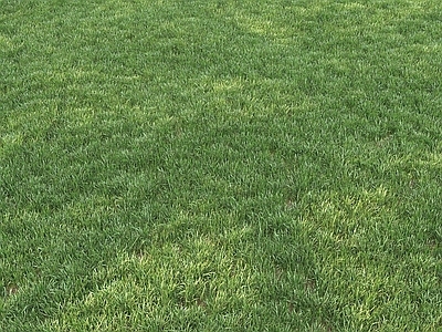 草