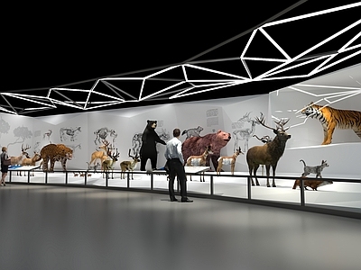 现代博物馆 自然科学博物馆 水土资源展示厅 生态文明展览馆 动物保护科普宣传 珍稀动物标本展示