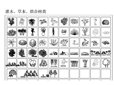 现代综合植物图库 植物立面图 施工图