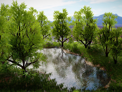 现代乡村公园 湖泊绿树园林 公园树水湖 树植被 别墅高档 自然造景