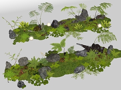 植物组合 蕨类 苔藓 庭院小品 造景 堆