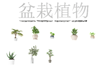 现代花艺 装饰