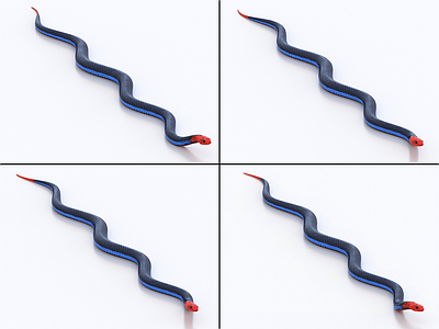 爬行类动物 毒蛇带绑定和动画 海蛇 蓝长腺珊瑚蛇