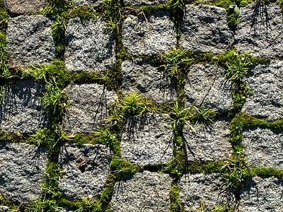 现代新中式植草砖 地砖