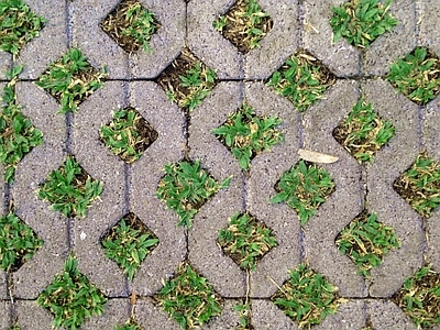 现代新中式植草砖 地砖 户外