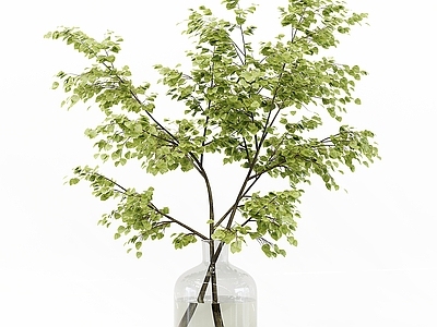 现代水生植物摆件