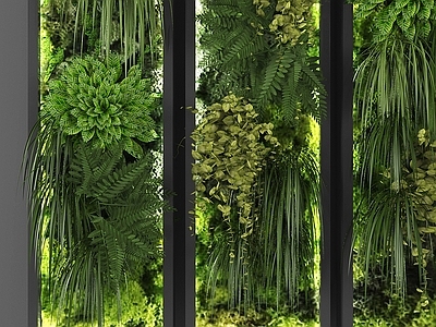 绿植墙