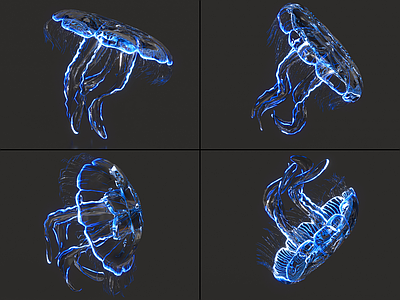 水生类动物 水母带绑定和动画 月亮水母 海月水母 海洋生物 发光水母