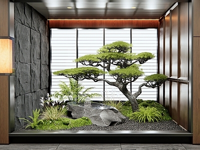 新中式室内景观 苔藓 水钵水景 松树 植物造景 枯山水