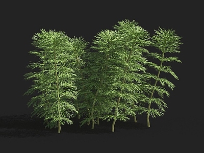 现代水下植物龙须草