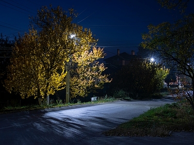 现代街道外景 街道夜景 路灯树林小路 郊区别墅乡间 乡镇城镇园林 庭院绿化草地夜晚