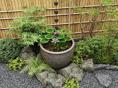 新中式鱼池 水缸 鱼缸 植物堆 小品 荷花