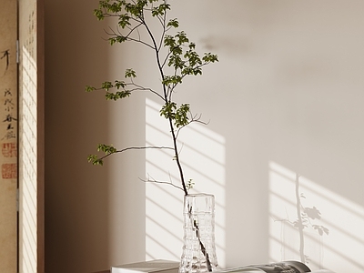 水生植物 现代玻璃水养