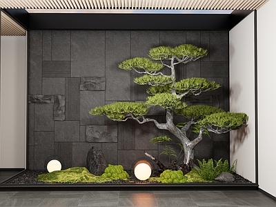 植物组合 树池组合 组合 室内造景 室内 造型松