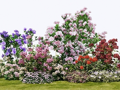 植物组合 花草 花卉花镜 花坛花箱 组合 花园