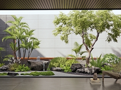 新中式现代庭院 别墅庭院 天井庭院 室内植物造景 枯山水 植物组合