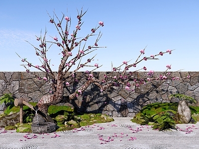 乔木 老桩桃花树 庭院桃花树 海棠花树 樱花树 景观造型花树