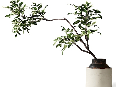 现代新中式花艺 花艺摆件 花瓶摆件 绿植 植物 盆景盆栽