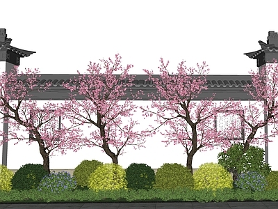 植物组合 新中式庭院花境 造型桃树 樱花 树 球形灌
