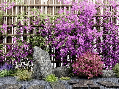 植物组合 藤蔓 三角梅 灌木 花草 汀步石头