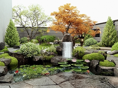 新中式日式别墅庭院 假山水景 灌木 景观石头 石板路 红枫