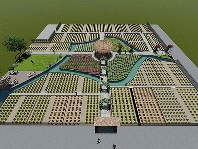 植物组合 共享菜园 花园