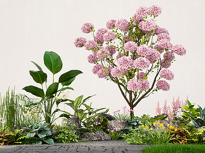 植物组合 花草花镜组团 木绣球 绣球花 组合 堆