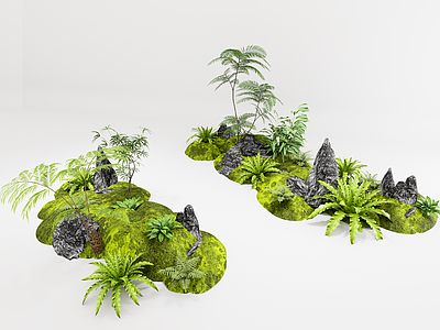 植物组合 室内