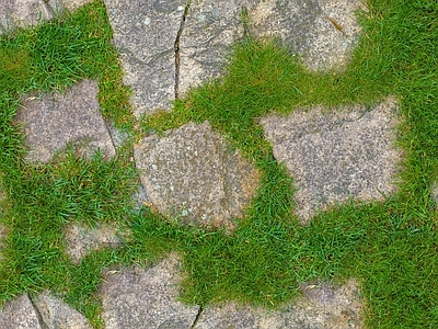 现代植草砖 地砖 户外 植物砖 砖 透水砖