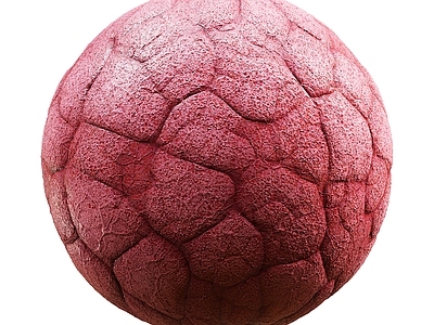 其他绿植 特殊植物皮肤 多肉