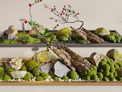 苔藓 苔藓 石头 石头 石榴树