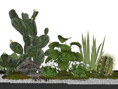 植物组合 现代绿植植物堆组