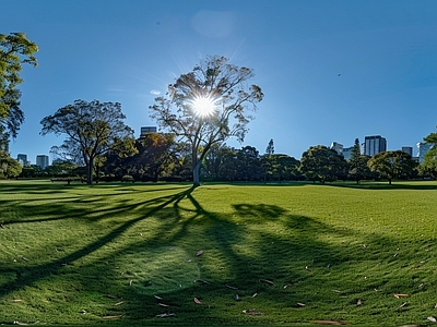 现代户外HDR 郊外树林